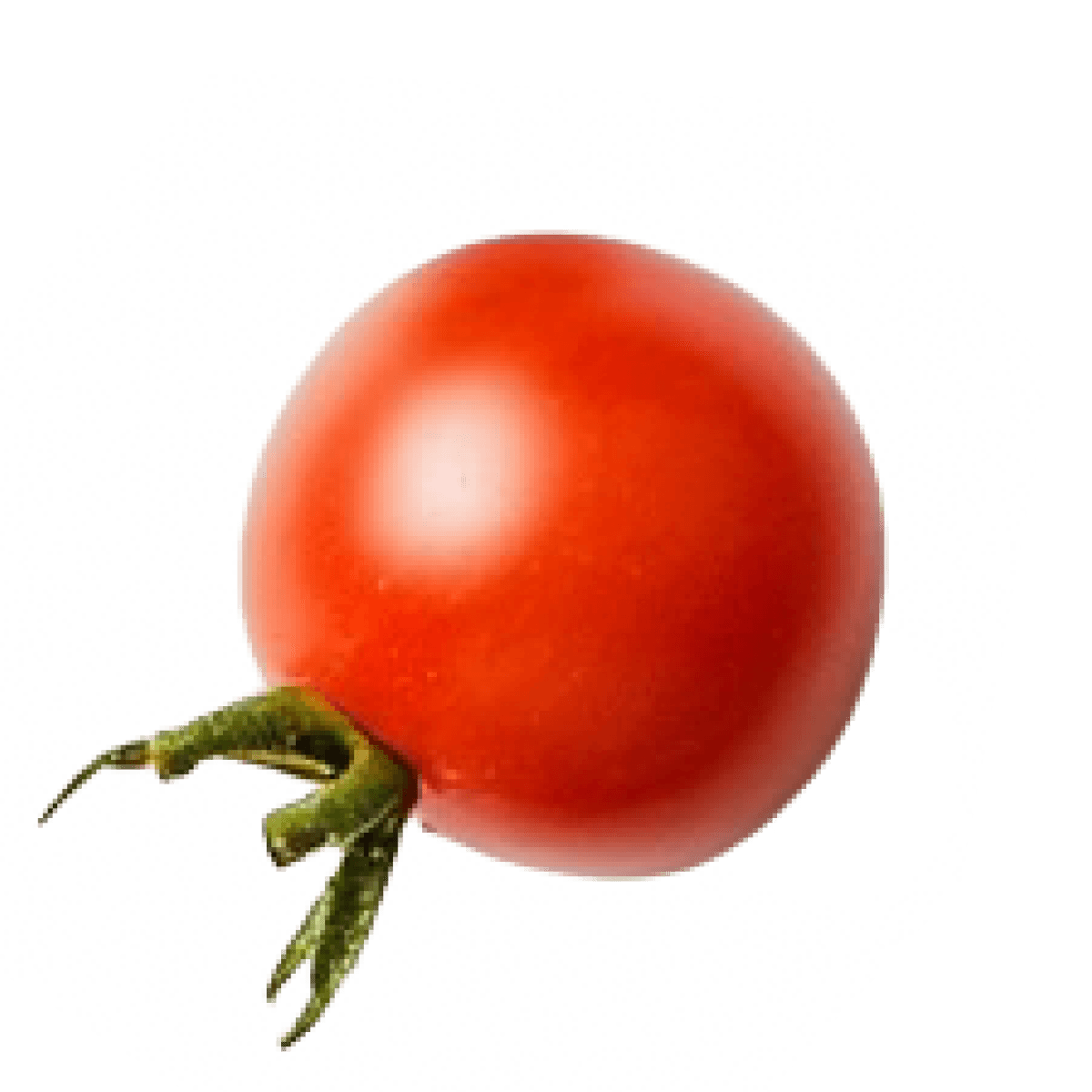 Tomate