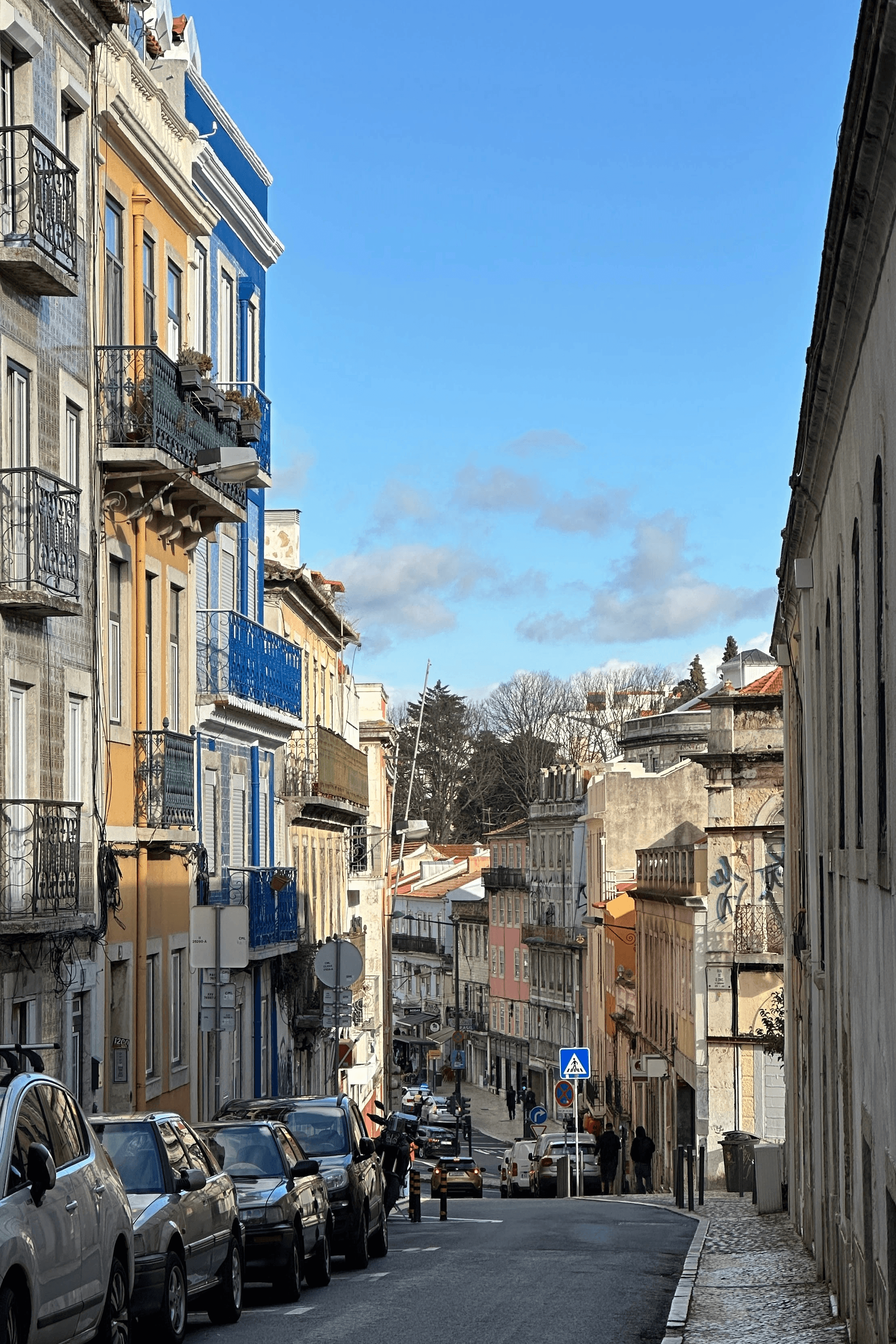 Campo de Ourique & Campolide — "The Local's Favorite"