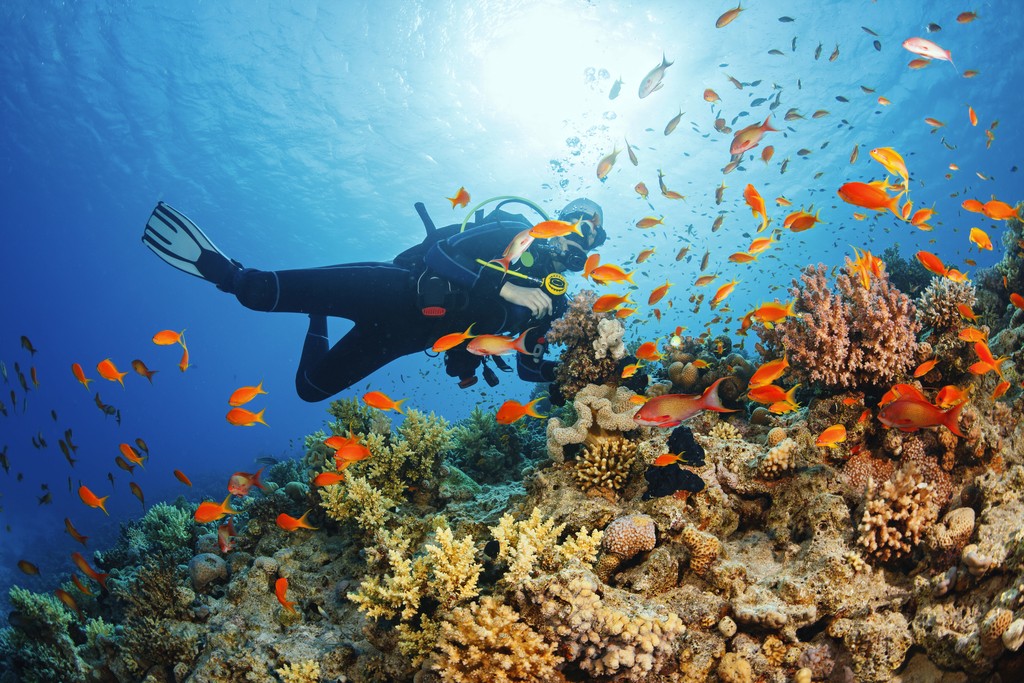 A car is parked in front of a house