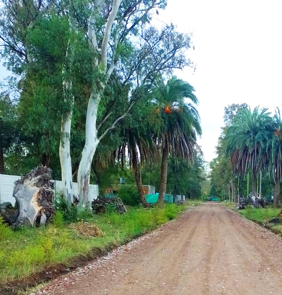 Lotes Para Todos - El Descanso