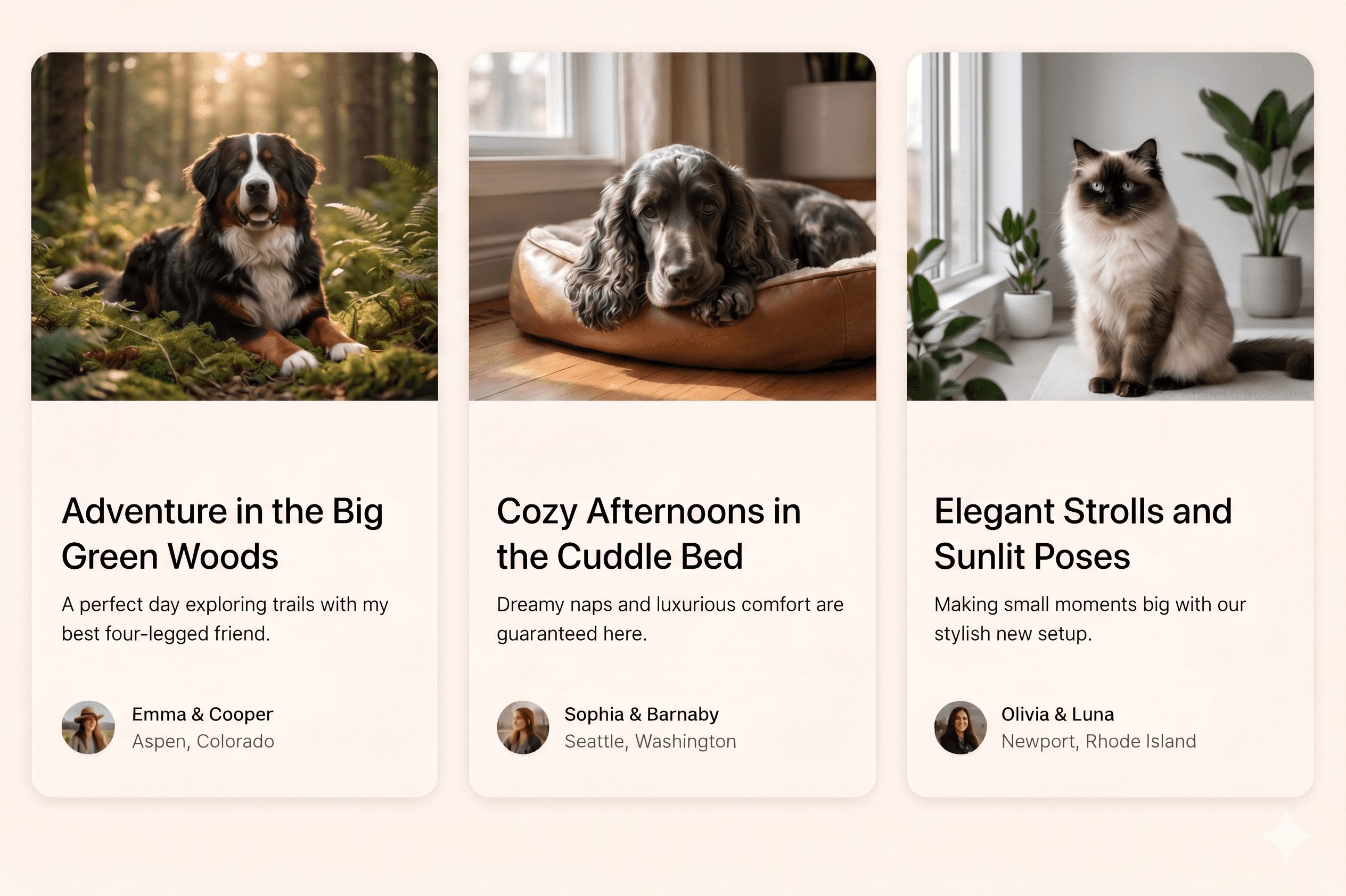 A mockup of Freelio's mobile app