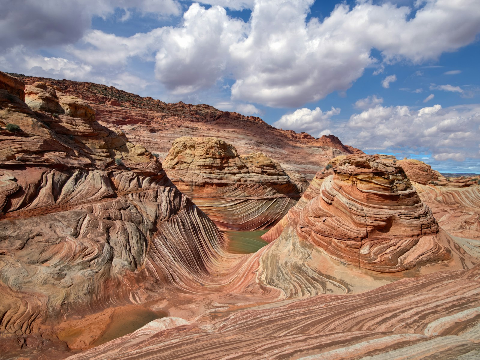 The Wave, in Coyote Buttes North.