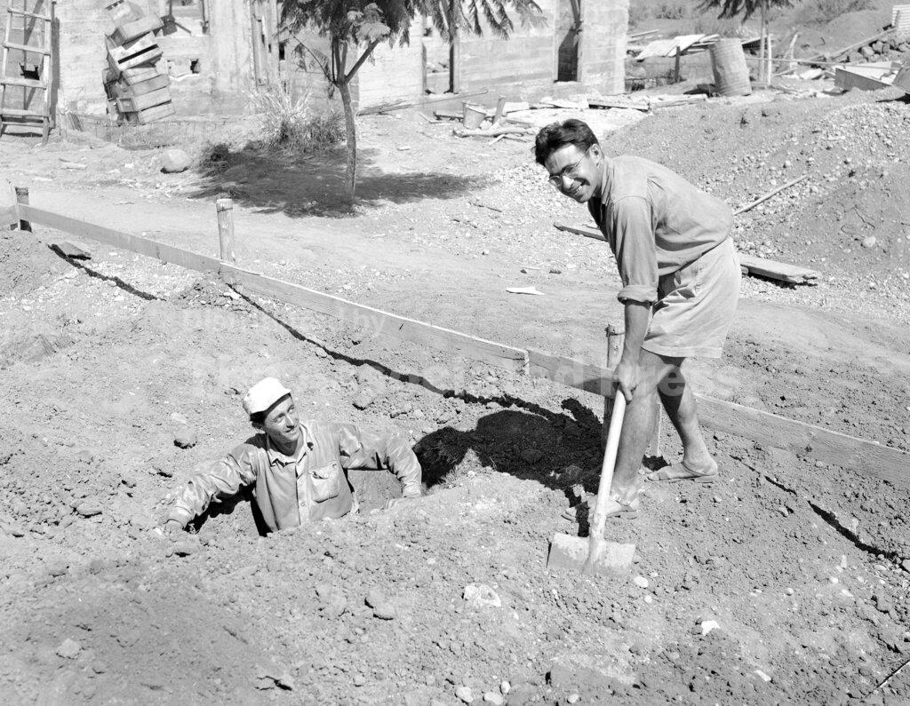 PALESTINE AND THE ARABS
