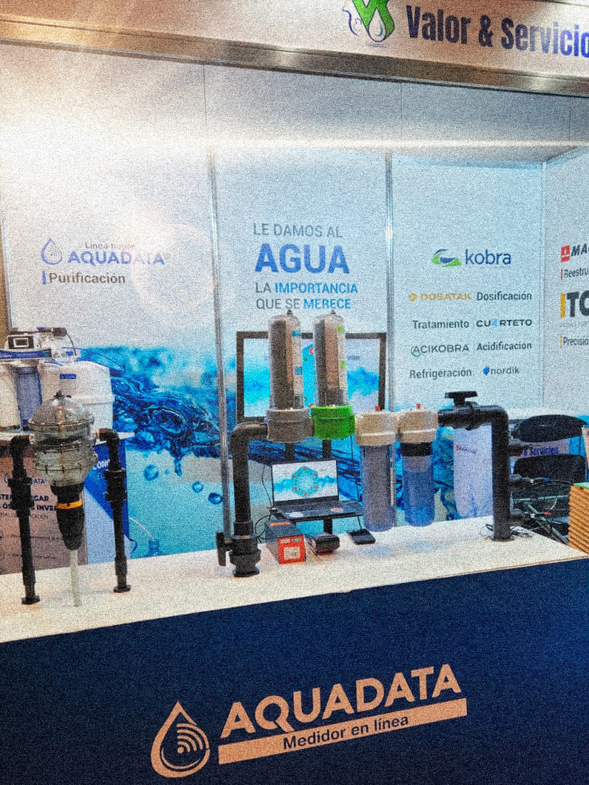 White and maroon sneaker