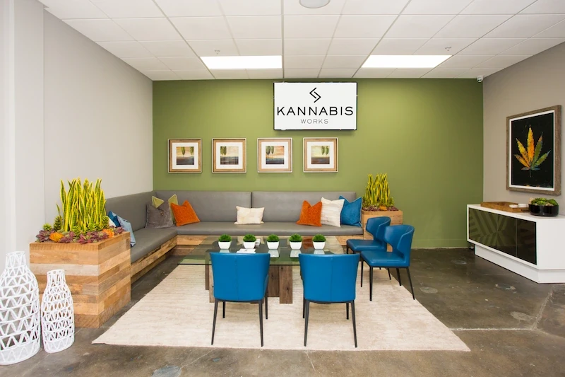Lounge area with olive green wall, blue chairs, and wooden planter bench in Kannabis Works.