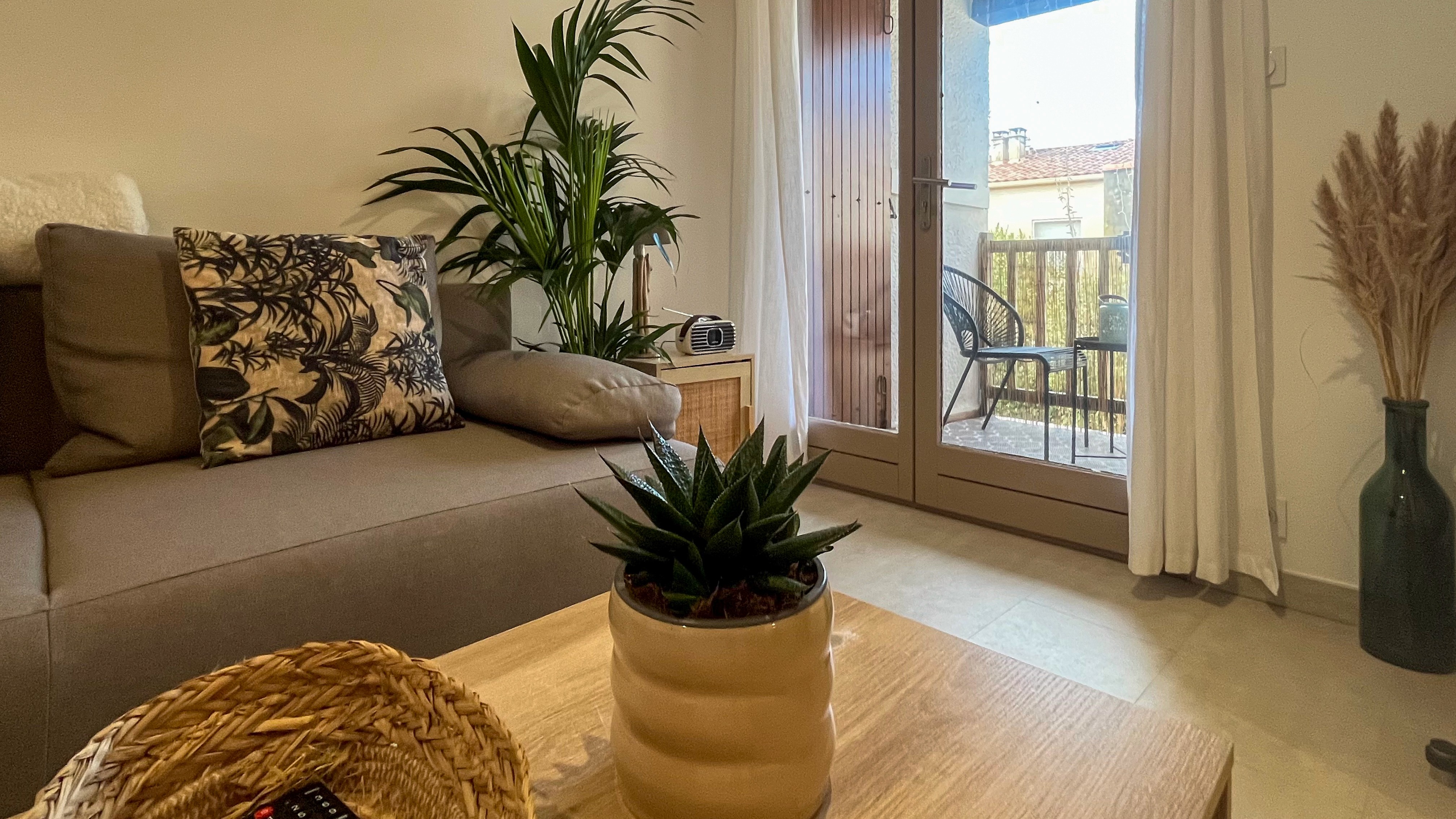 Décoration de salon bohème avec canapé gris, plantes vertes d'intérieur et vue sur un balcon aménagé par une porte-fenêtre lumineuse.