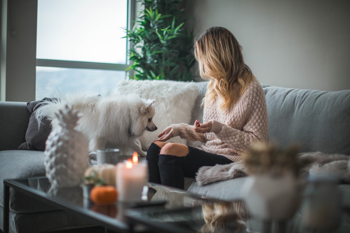 A pet parent giving a dog a treat on a couch