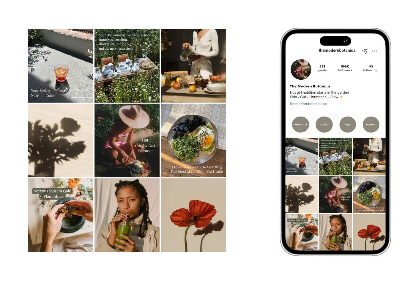 Lifestyle grid featuring botanical food photography, outdoor wellness scenes, and warm natural textures, paired with an Instagram feed mockup for a holistic culinary and wellness brand.