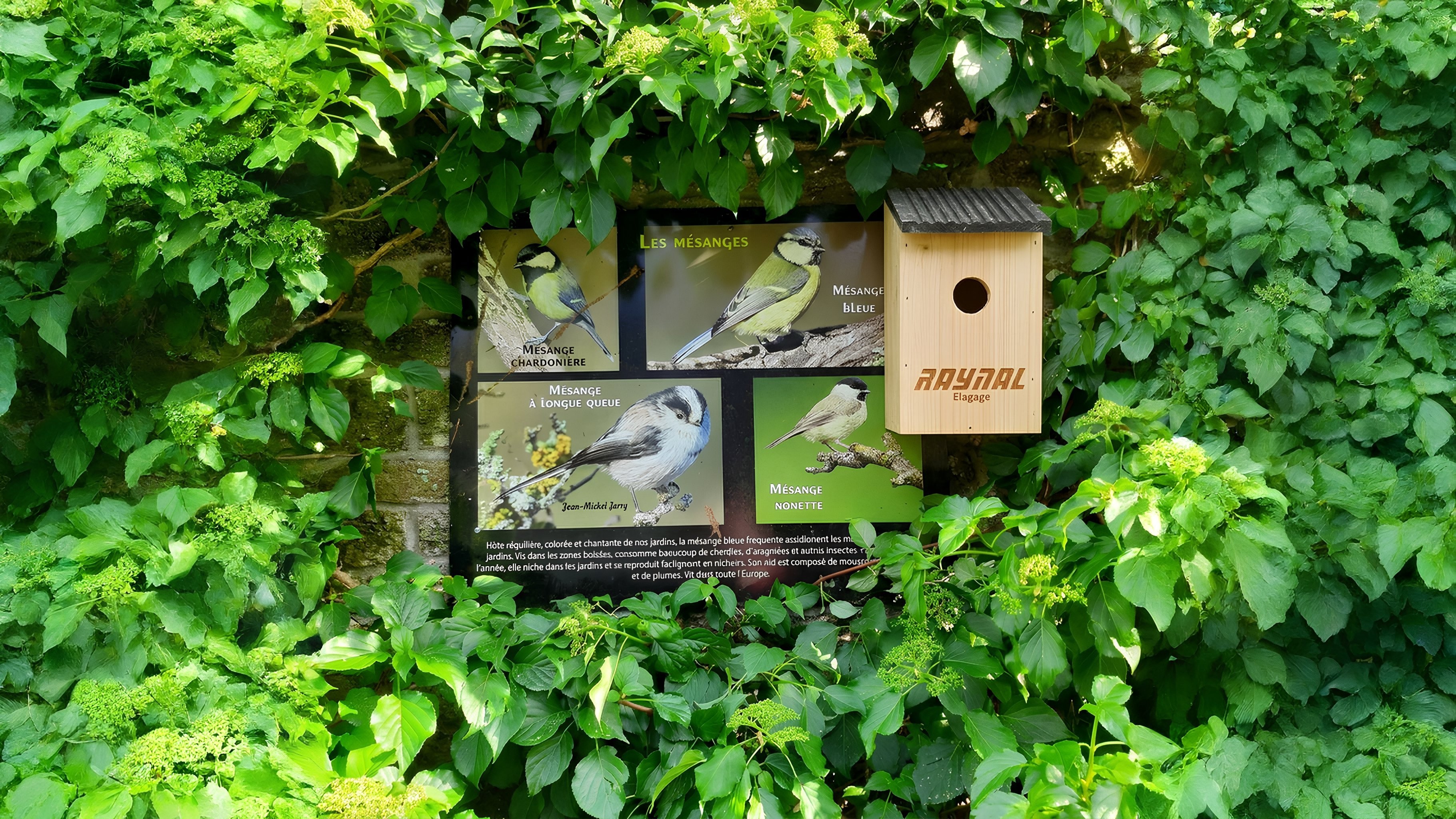 cabanes oiseaux raynal