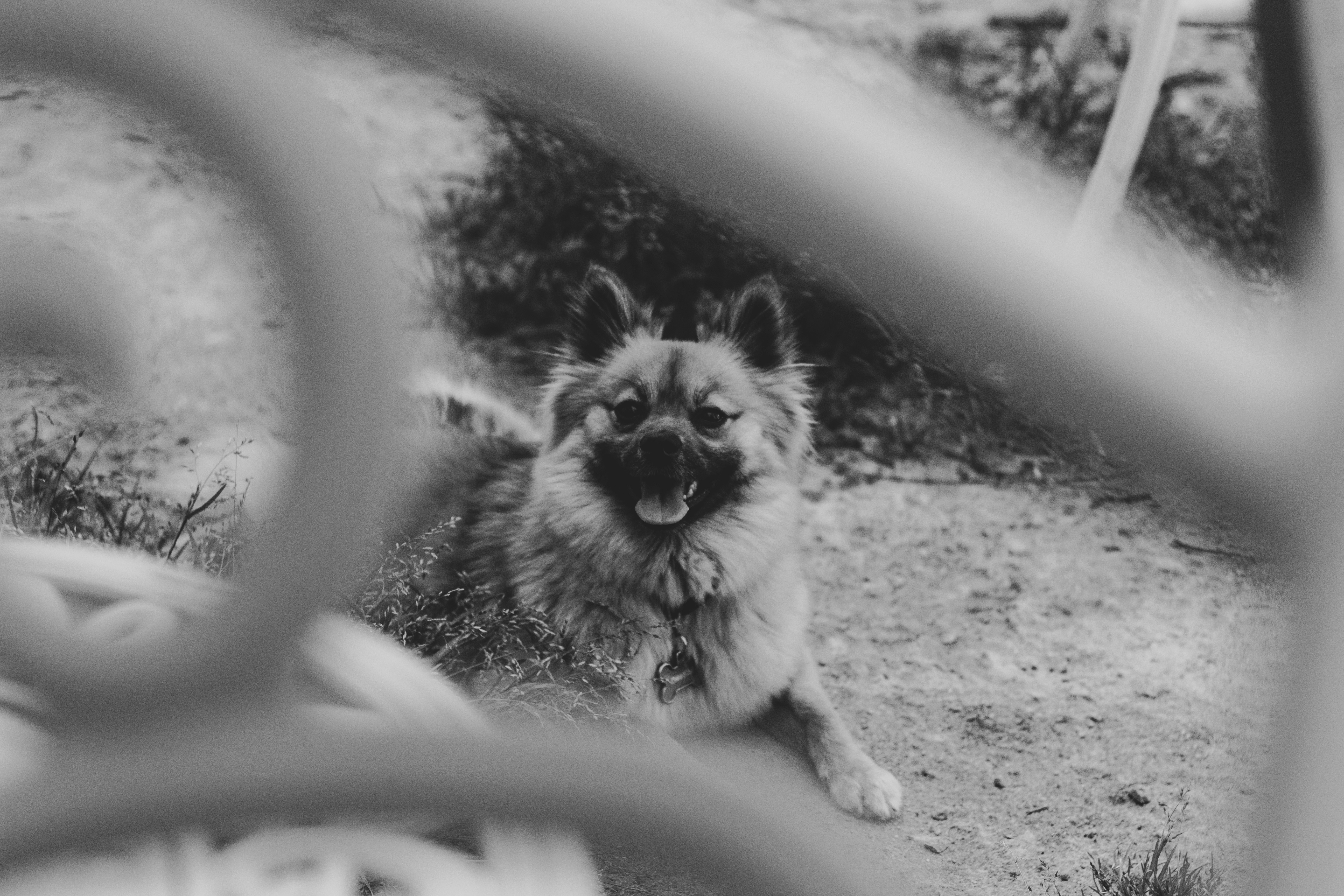low angle photography of building