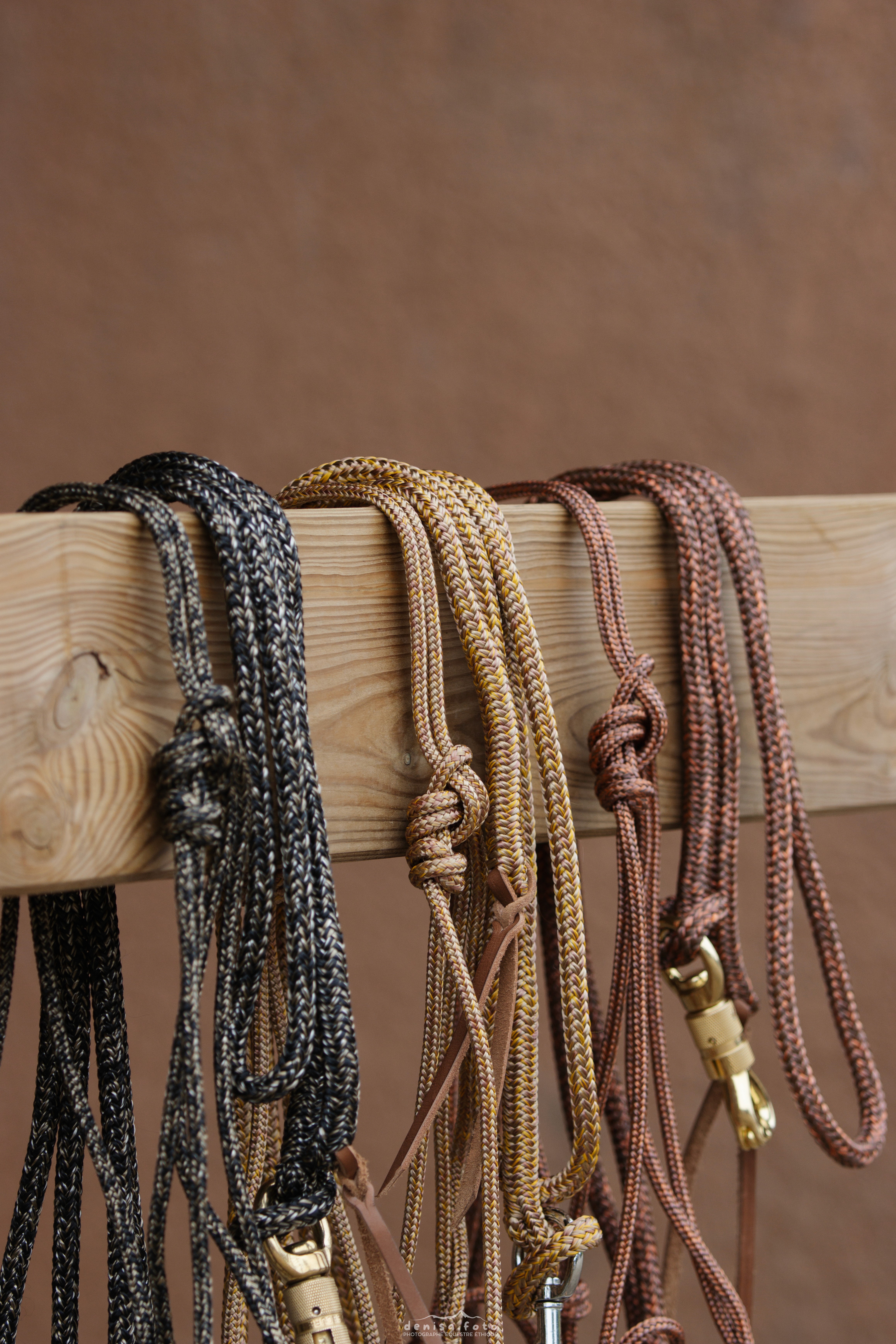 photographie-equitation-ethologie-horse-and-ropes