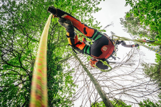 Seilklettertechnik zur Baumpflege, Baumkatastern, Obstbaumschnitt, Baumpflege, Pflege von Bäumen