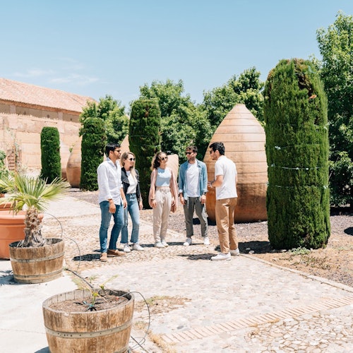 Toledo: vođena tura gradom i vinarijom iz Madrida + degustacija vina u Madridu