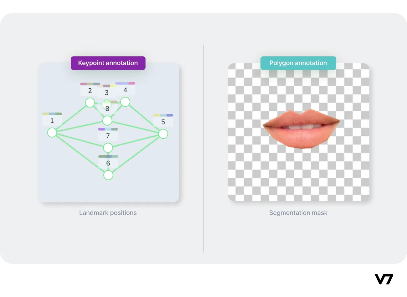 landmark positions vs segmentation mask