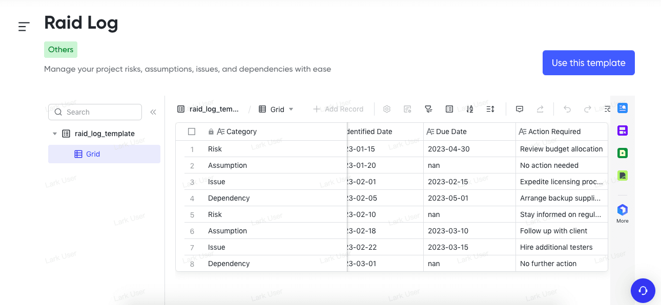 RAID log template