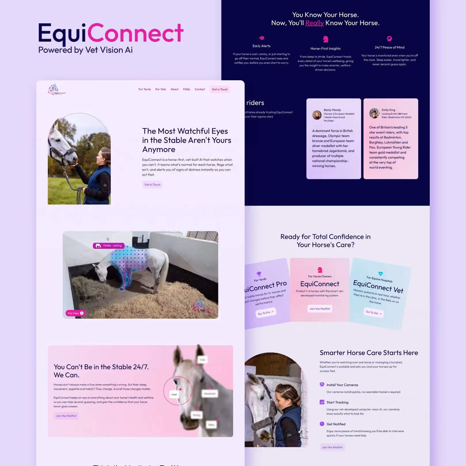 EquiConnect custom interface and interactive content from the completed creative project