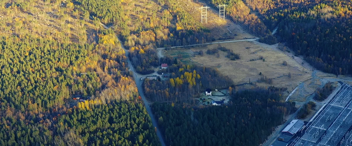 Fjellbu