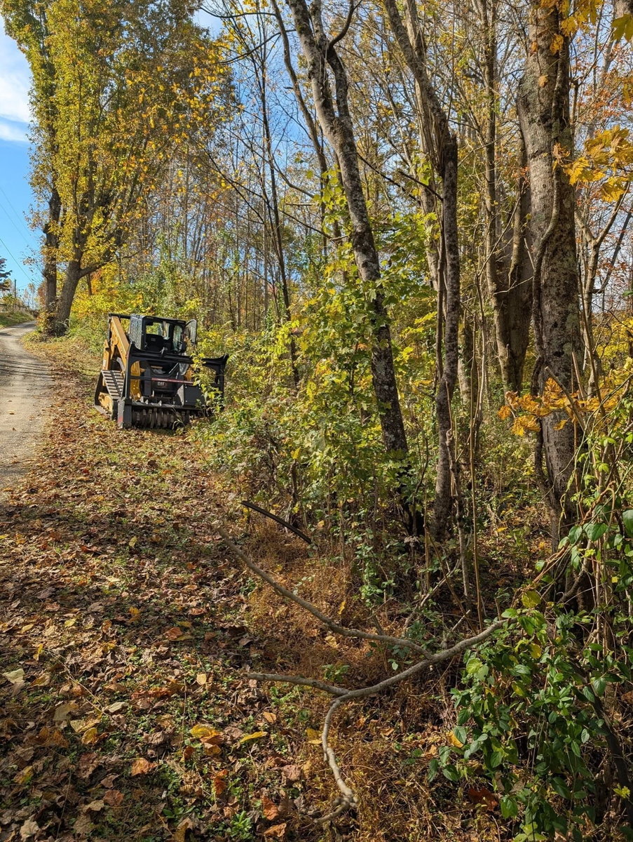 Tracked loader with a mulching head cutting into a brush line beside a gravel drive in autumn woods