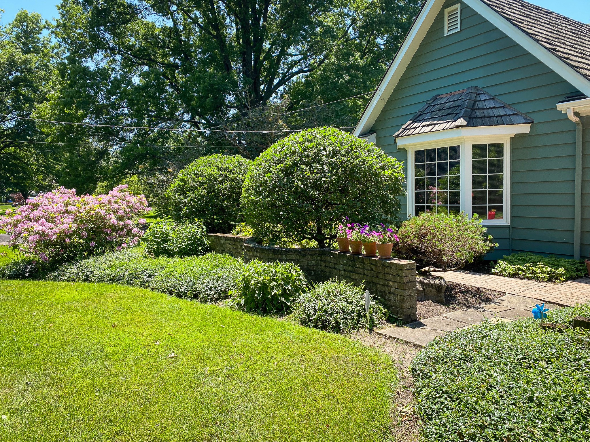 Trimmed trees and bushes