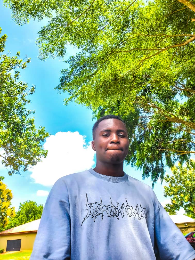 Goran Babarogic Product UX Designer