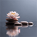 Serene rocks with lotus flower