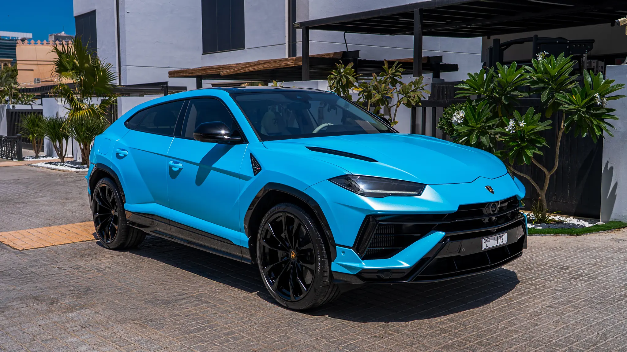 Green glass-metallic background with statistic cards