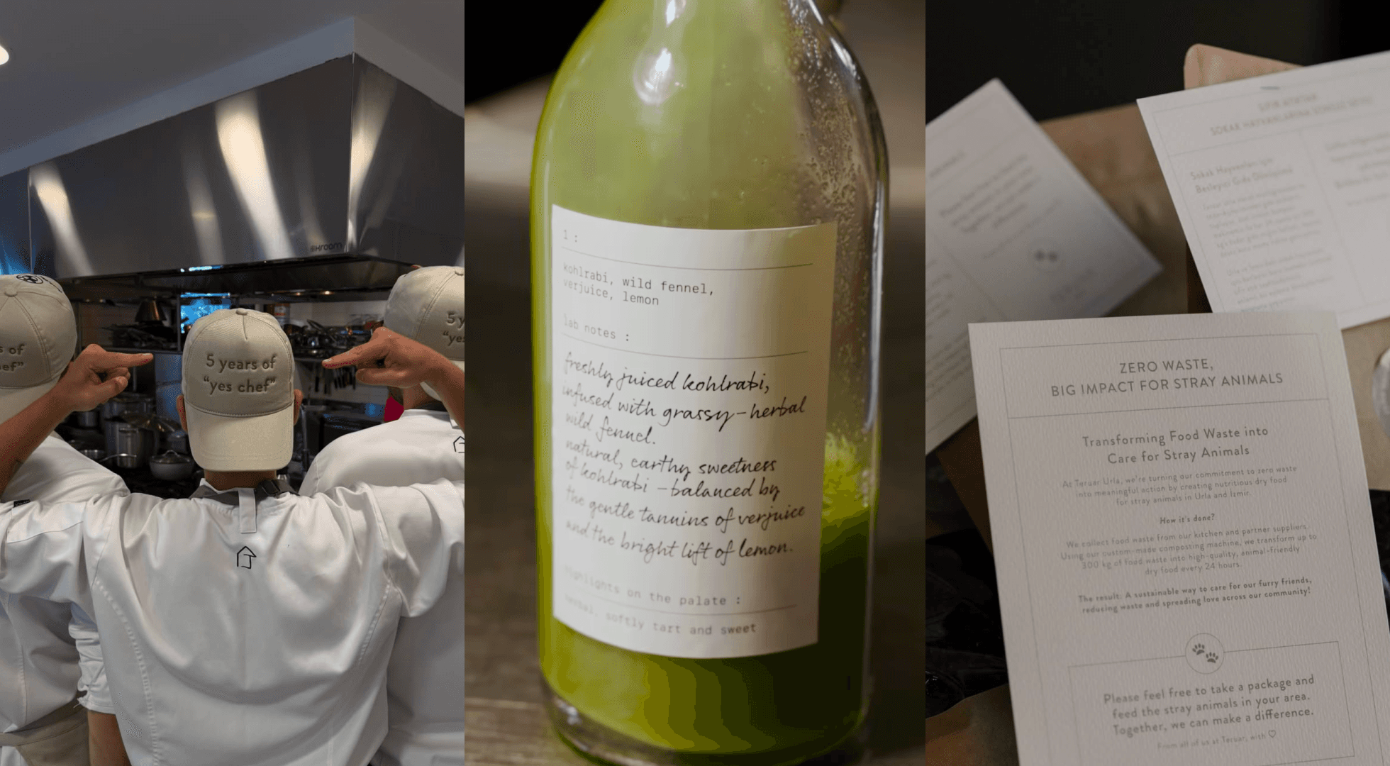 Teruar Campaign and Events