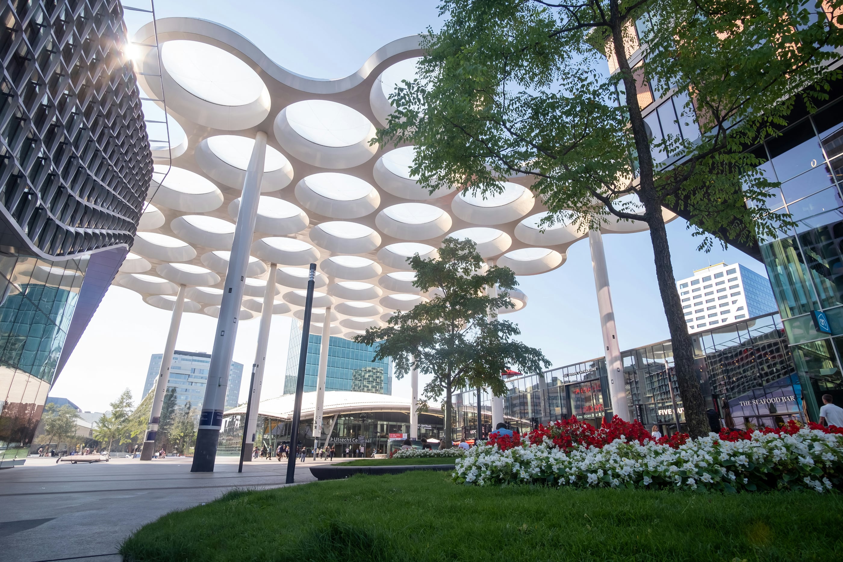 Moderne architectuur met organisch dakontwerp in Nederlandse stad met groene publieke ruimte