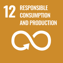 SDG 12: Responsible Consumption and Production