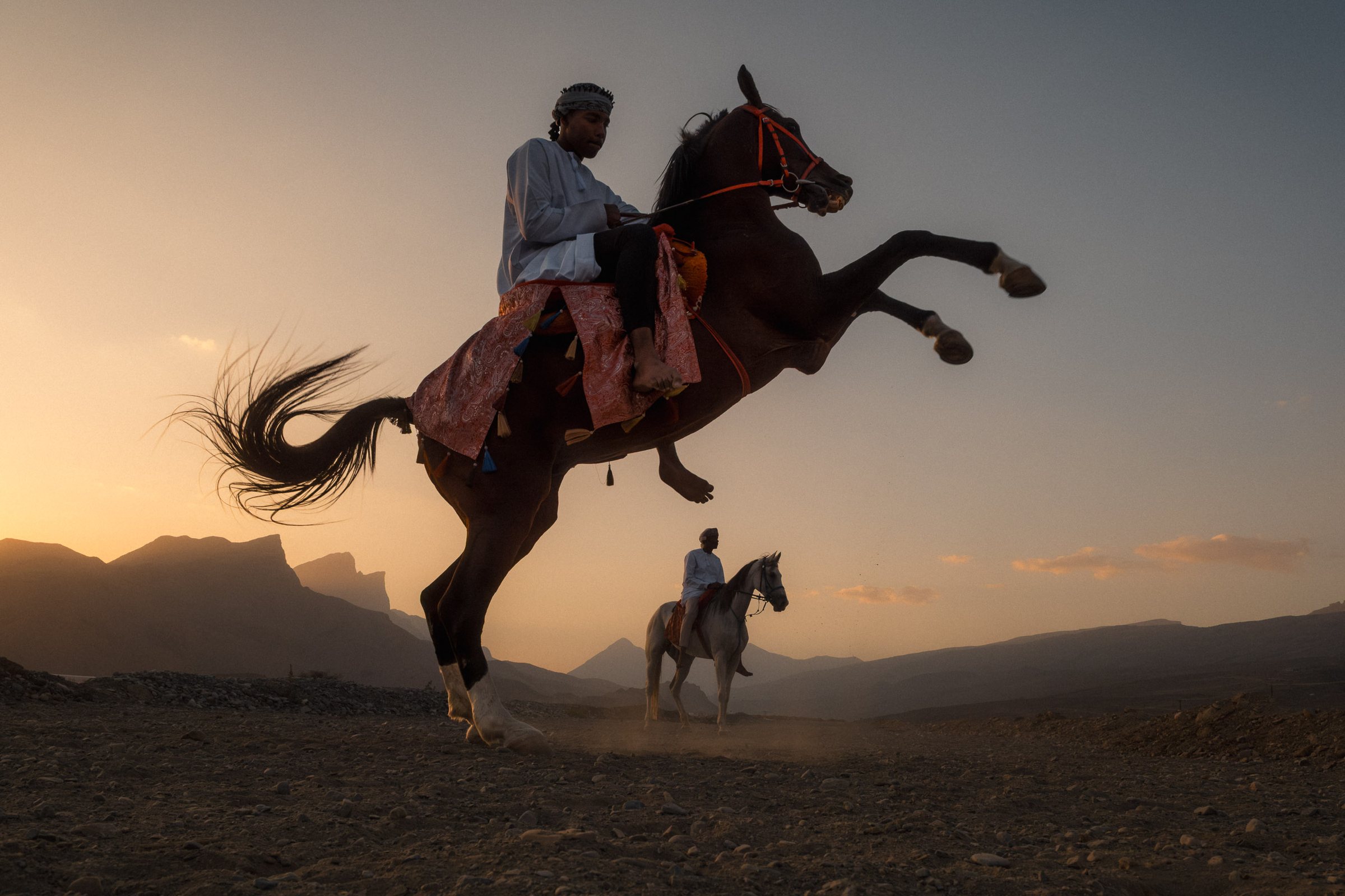 Rider on a rearing horse with the Hajar mountains behind at dusk, Oman