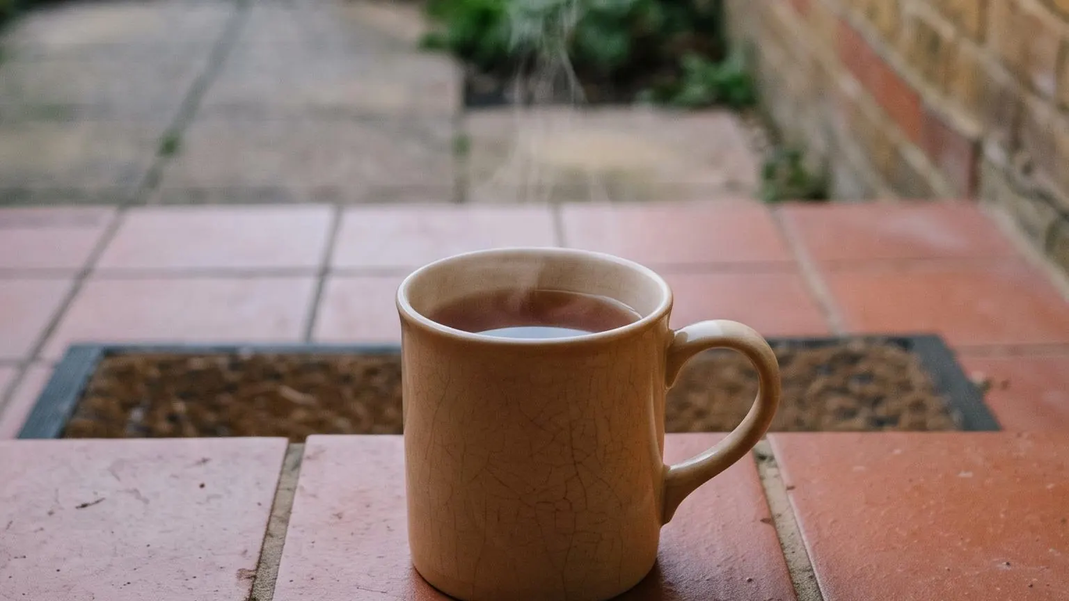 A mug of tea on a tiled back doorstep at first light