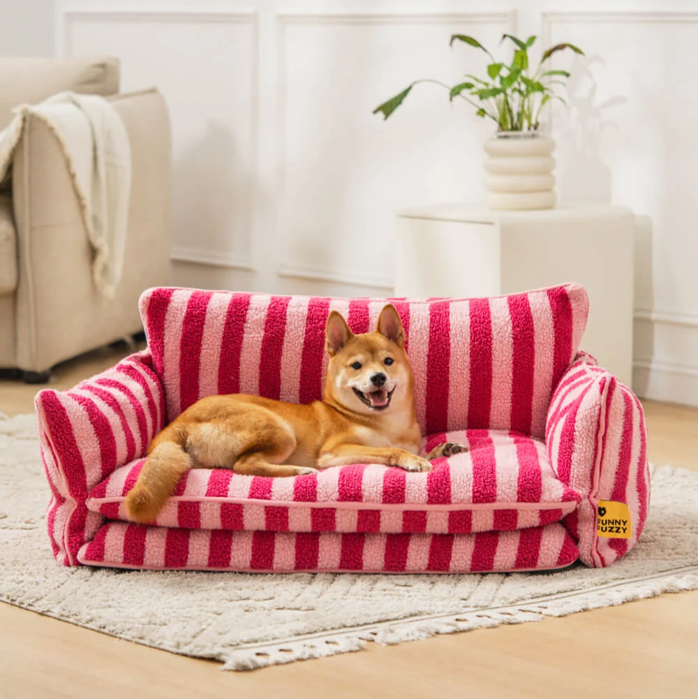 Colorful pet sofa
