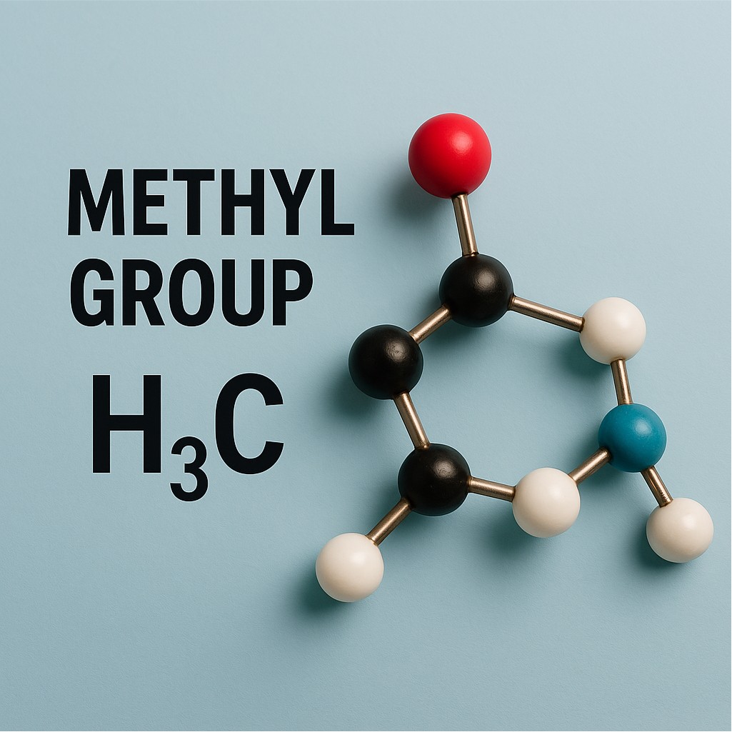 Methylation Explained Simply