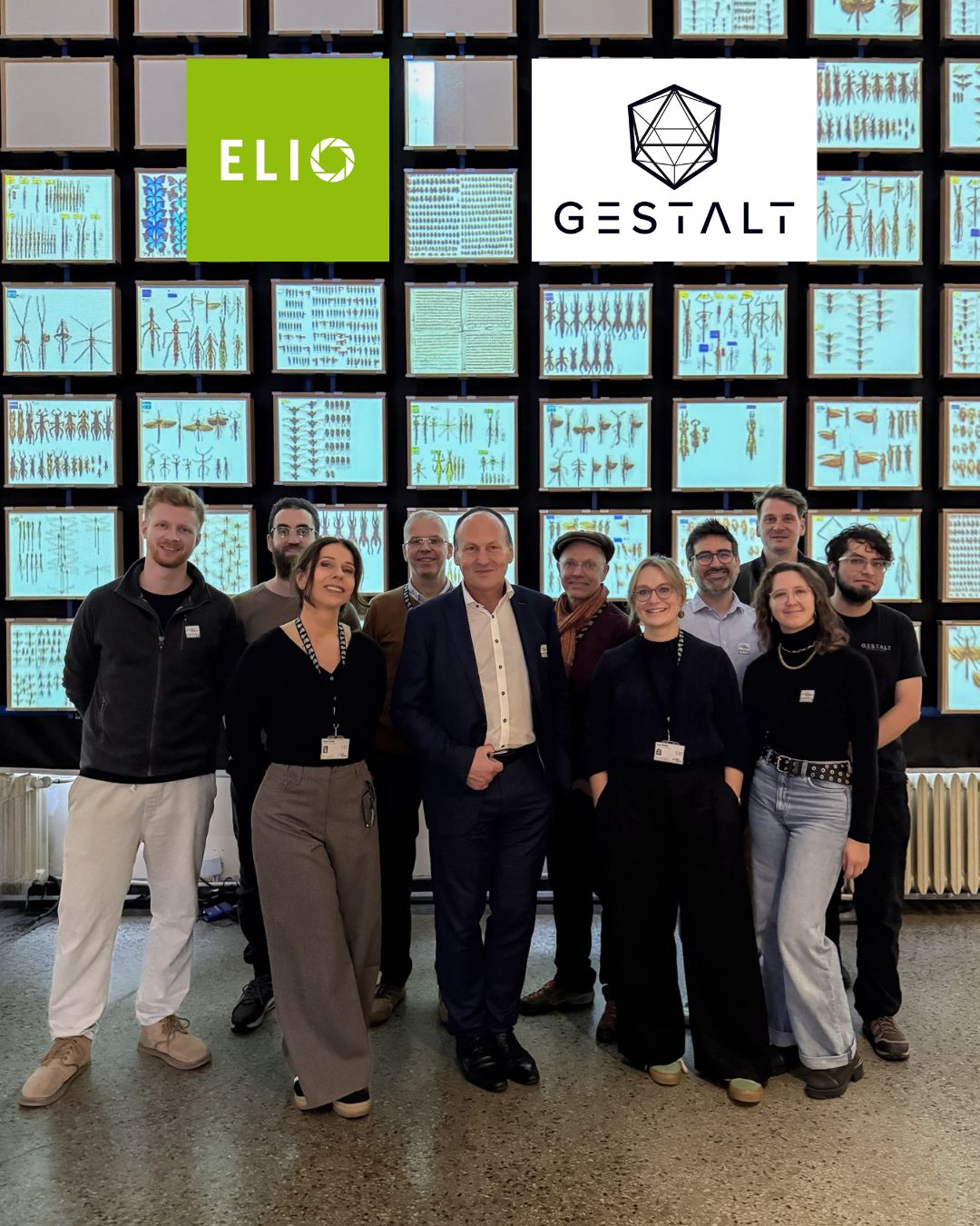 Gestalt and ELIO team