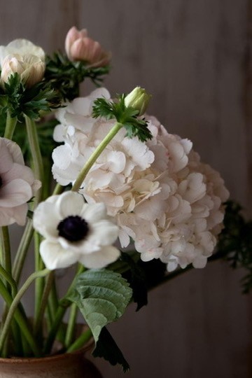 Personal Coaching Image