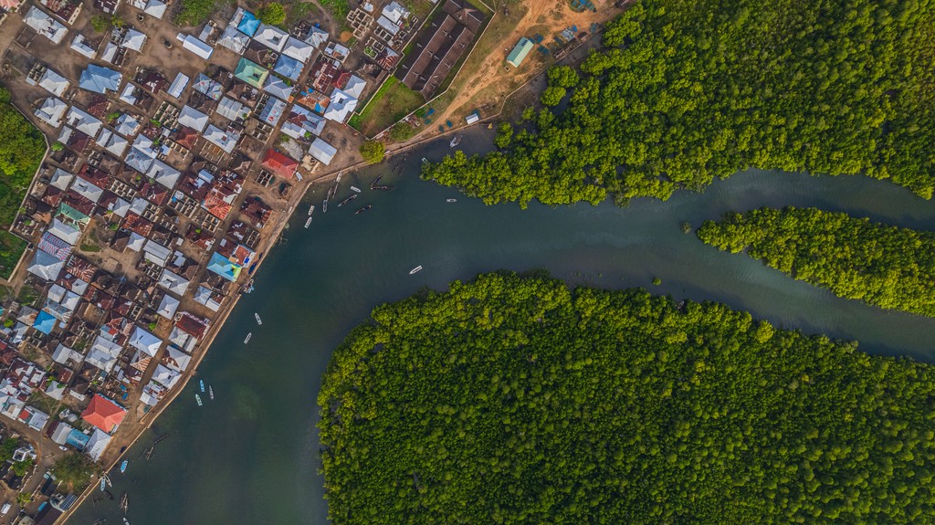 woman holding a phone and man looking at the phone. both are smiling