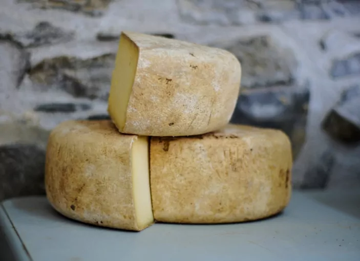 Hard round cheese wheels