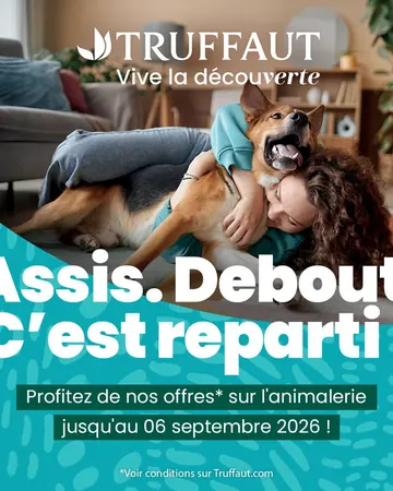 Publicité de Truffaut