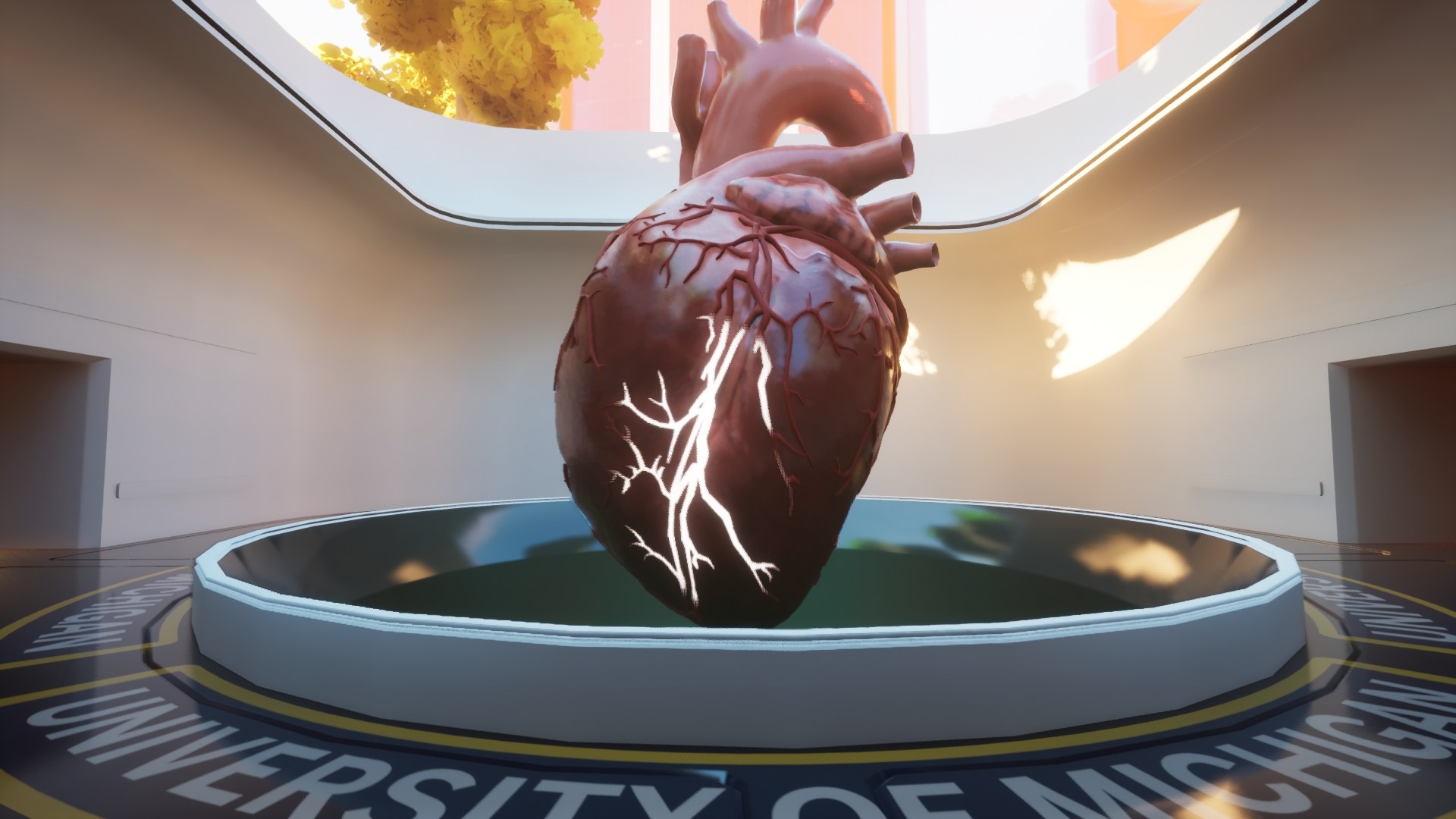 Heart Anatomy in Axon Park