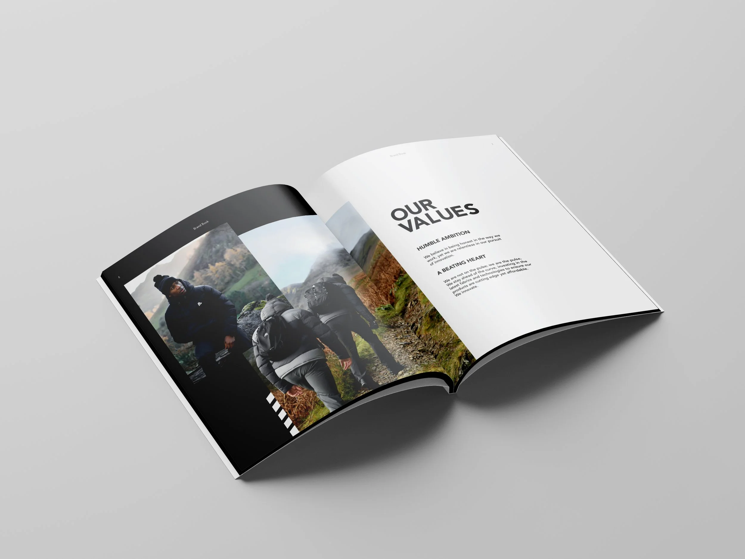 Large Project Gallery Image #1