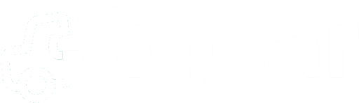Jigcar Logo