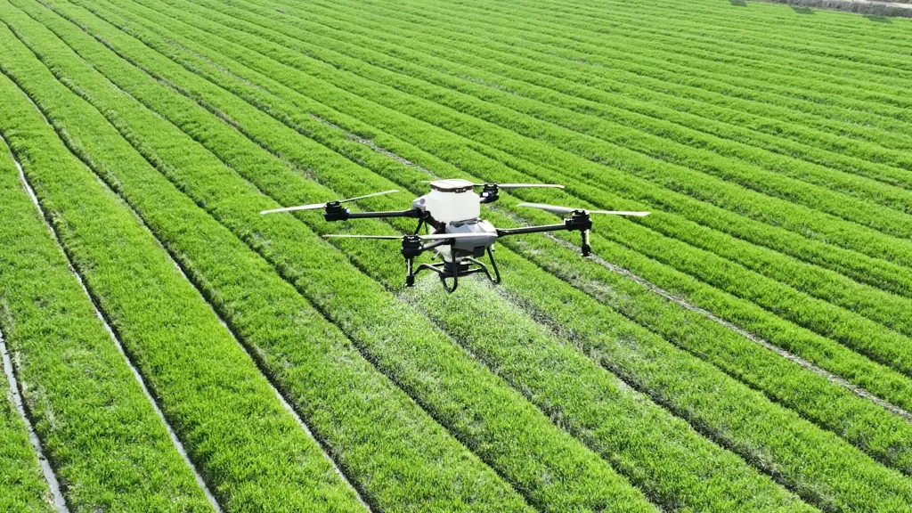 A large field of green grass with a small plane in the middle of it