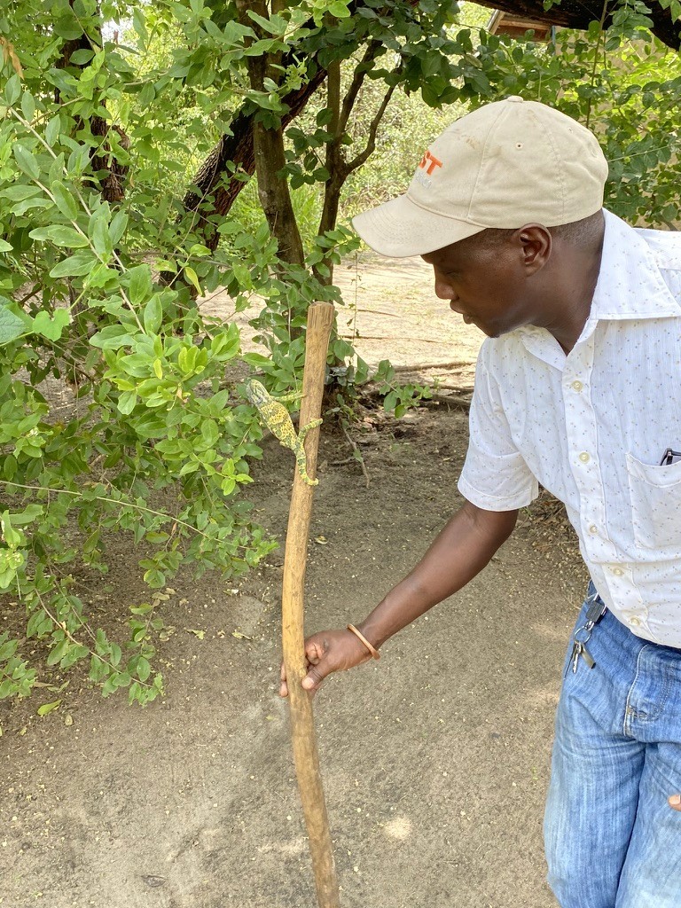 Kembe Safari guide in Tanzania