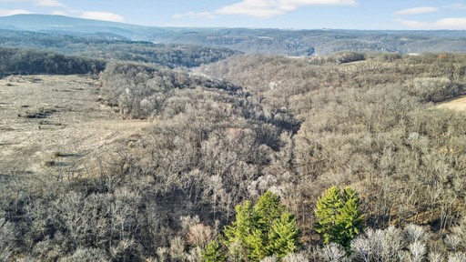 Photo 10 of 271.18 acres Zwettler/Foster Road, Arena
