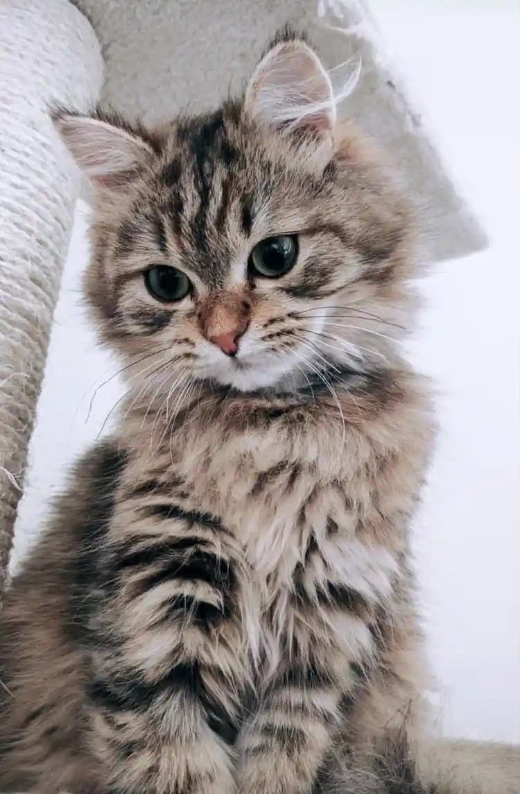 Photo de Robin Barbelenet