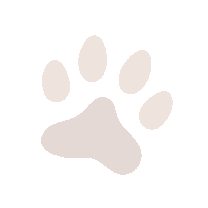 Paw