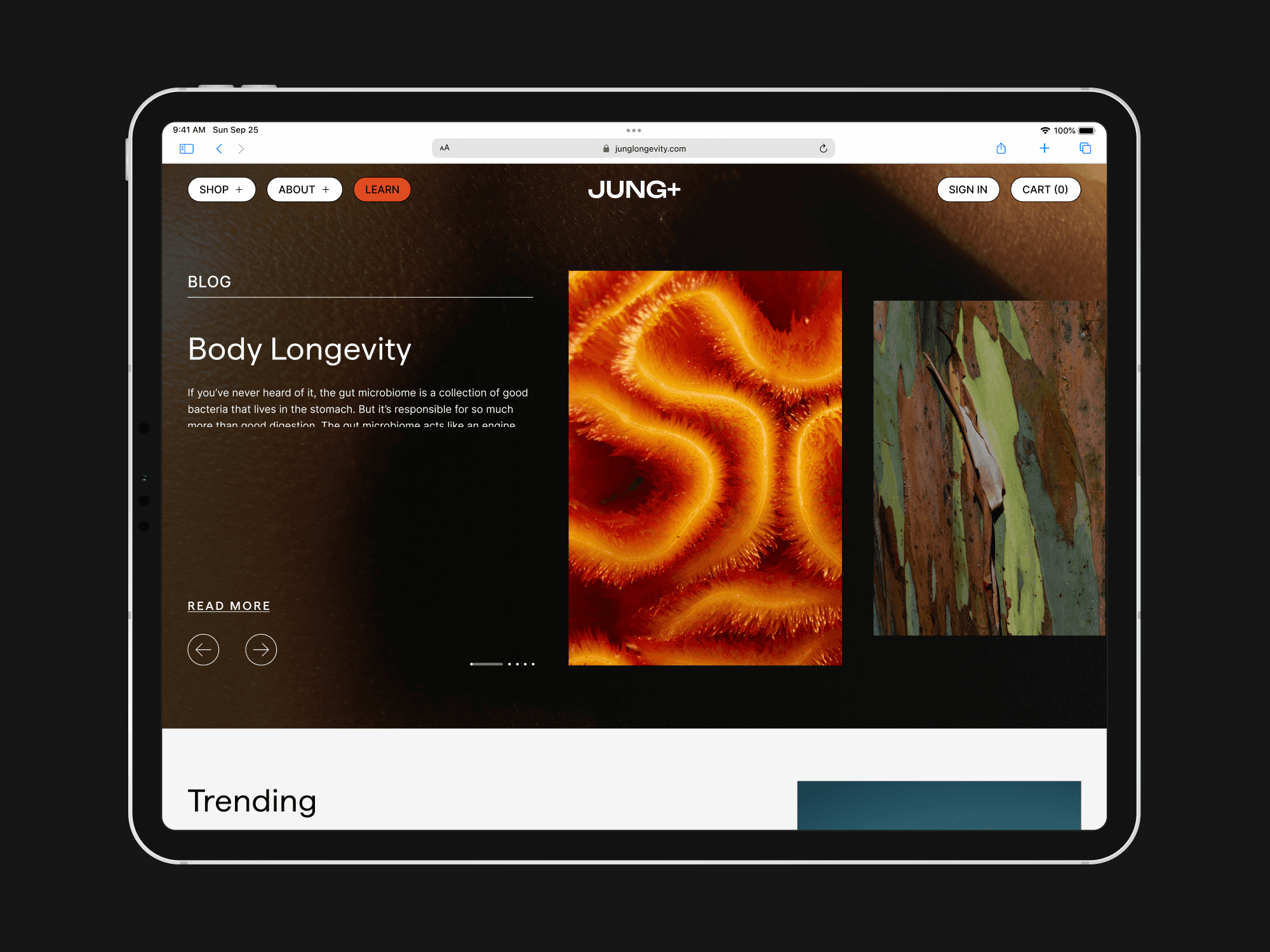 JUNG+ 长寿健康产品电商网站设计