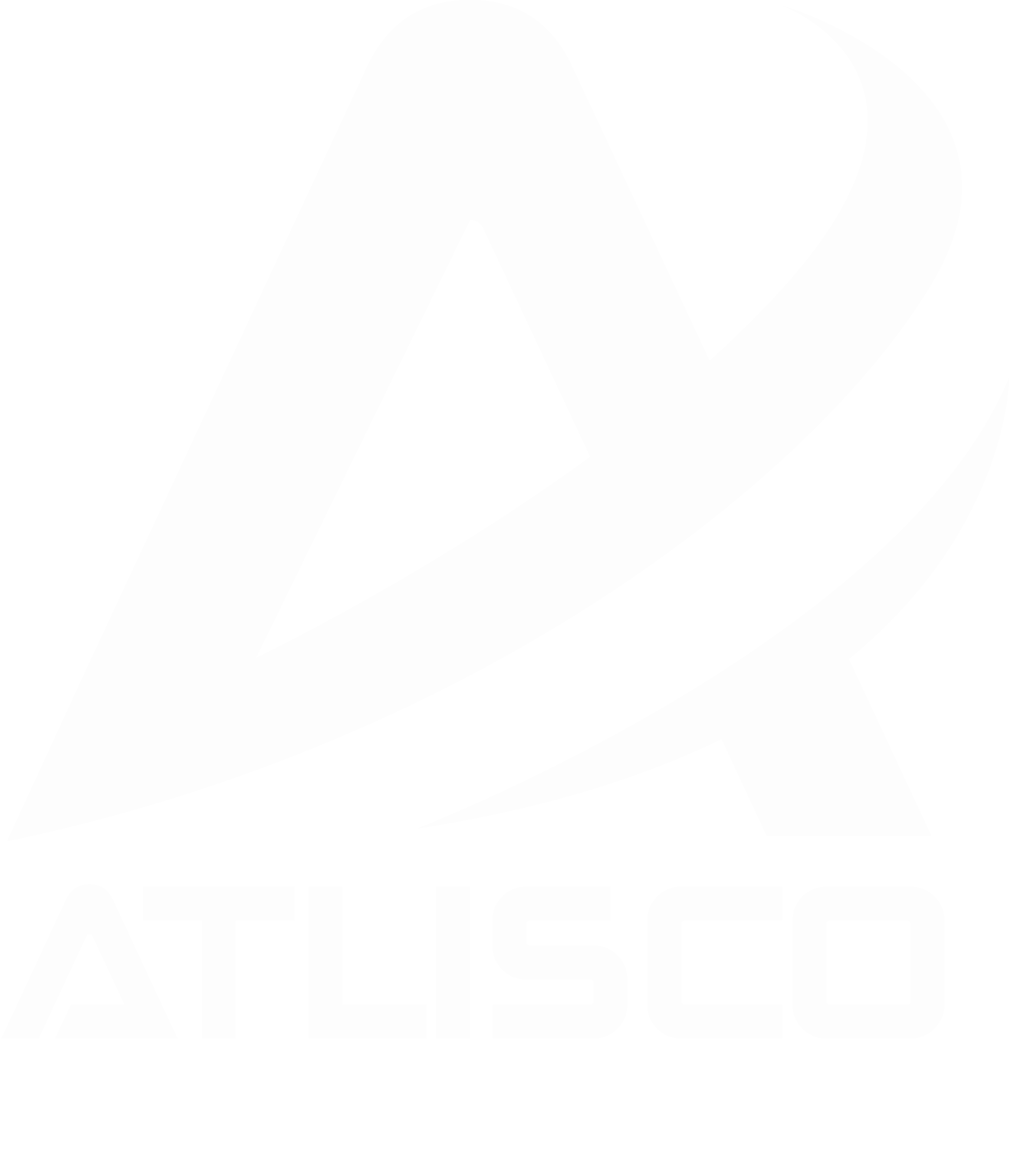 Atlisco Amazon Ads Agency