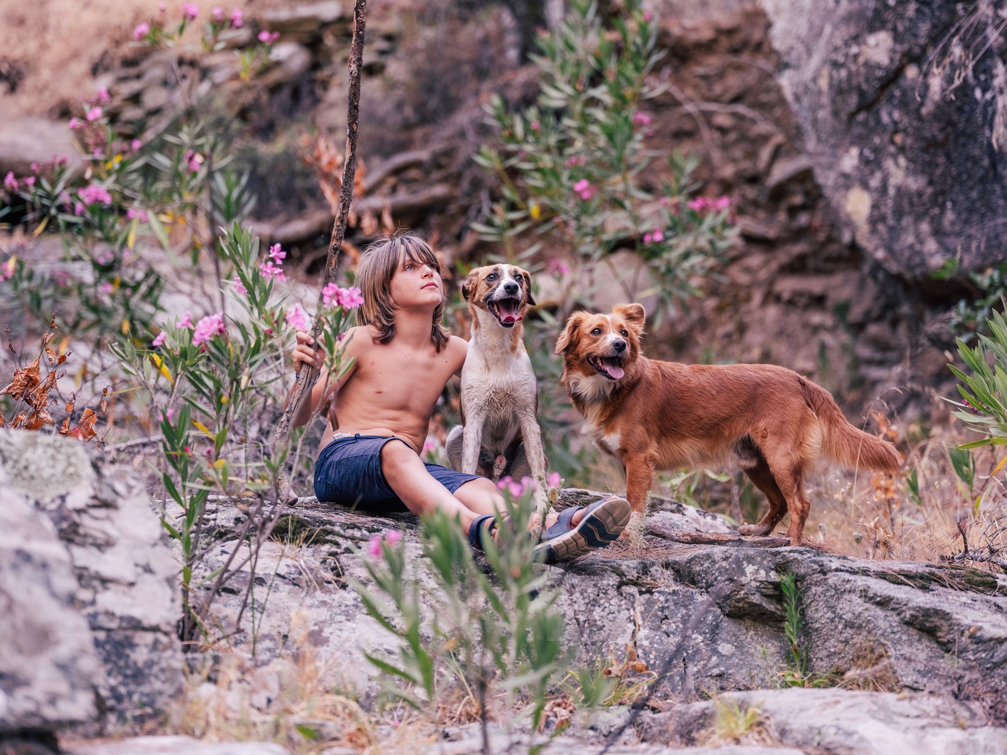 dog pack boy