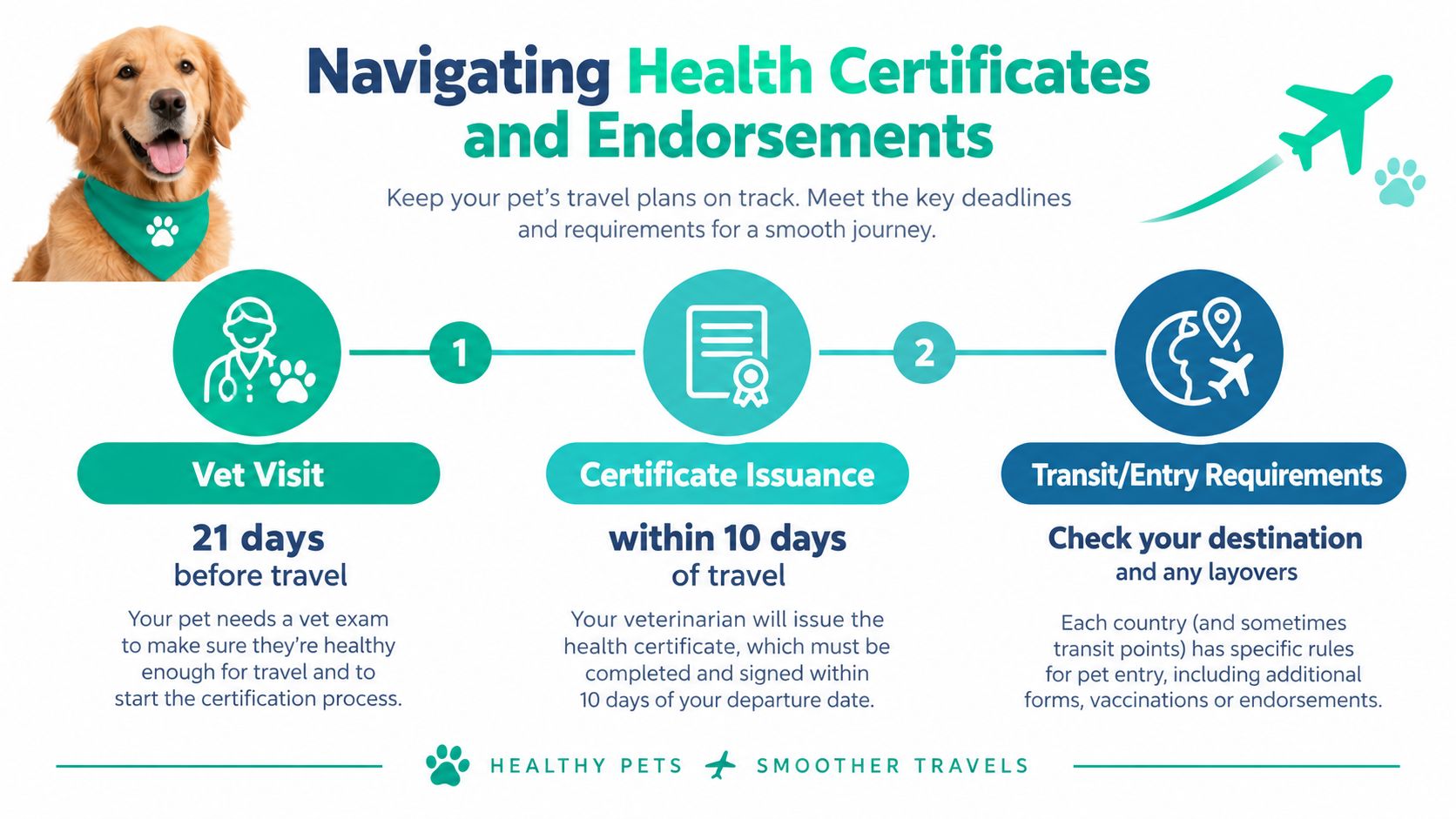 An infographic showing the three-step process for obtaining pet health certificates and endorsements for international travel.
